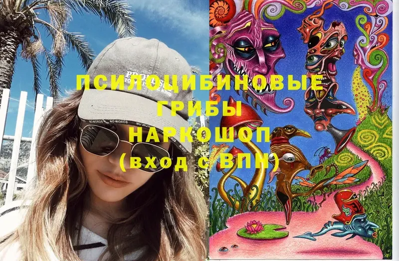 Галлюциногенные грибы Magic Shrooms  Ленск 