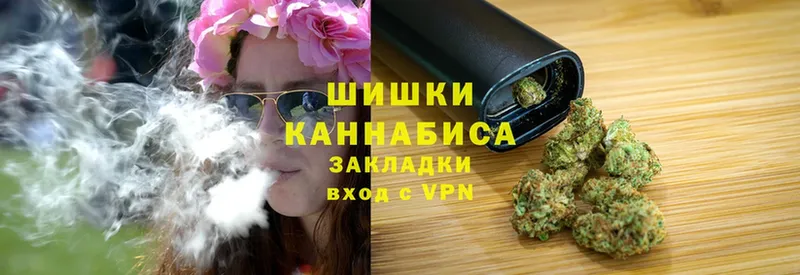 Бошки Шишки Amnesia  купить закладку  Ленск 